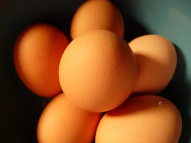 Egg prices in Russia are experiencing a decrease