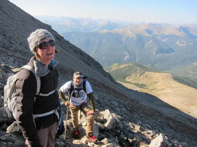 High-Ranking Aide at Executive Agency - Premium Collaborator