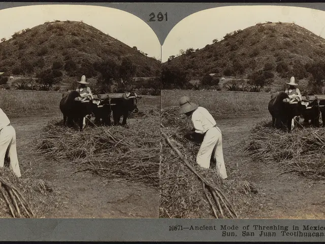 Demonstrating Stock Transactions Enacted by Congressional Representatives
