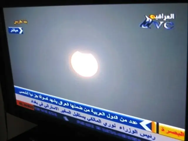 Netflix's Biggest Bombings Throughout History