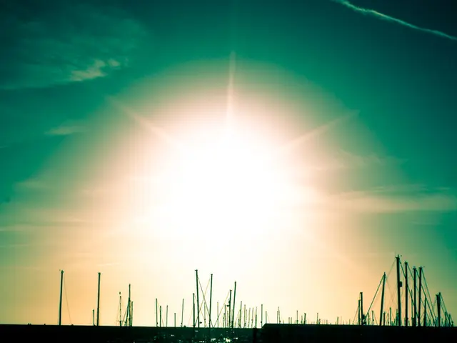 Website recommends GoodFinch and SunStrong for the takeover of Sunnova