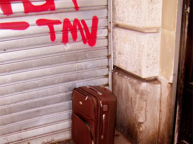 Can emerging direct-to-consumer luggage companies potentially upend long-standing brands in the...