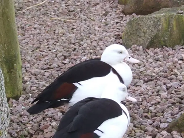 Revised quarry tax by Labour is a minimal environmental policy with minimal costs