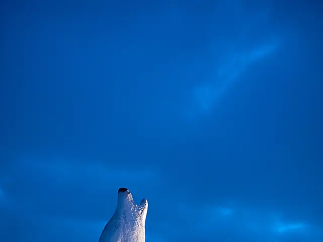 Oil earnings from Russia experienced a substantial decline by one-third in the month of July.