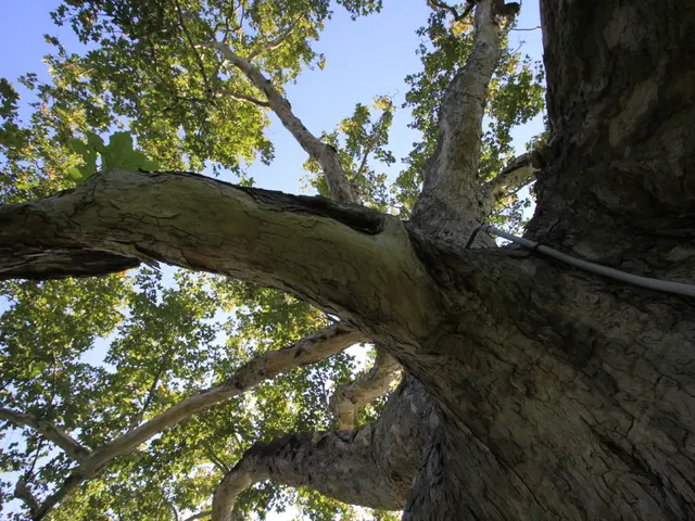 Position available: Head of Branch Altshausen and Deputy Regional Head of Branch Aulendorf (female,...