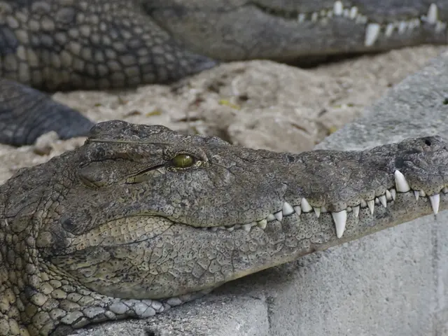 Amazon Partners with Brimstone on Low-Carbon Cement Project