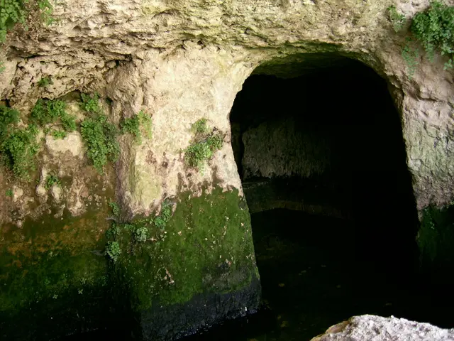 Kirill Levin, the high-ranking official from Rosselhozbank, now takes charge as the leader of "...