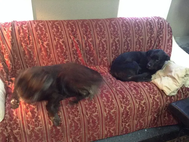 Ukrainian residents face no decrease in the cost of their new supplies