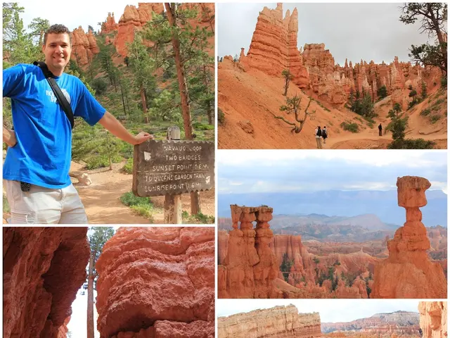 Evaluating the monetary worth of cultural and historical landmarks