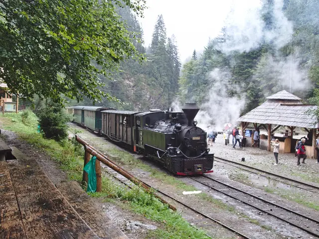 Granted approval for Denbury homes on restricted matters