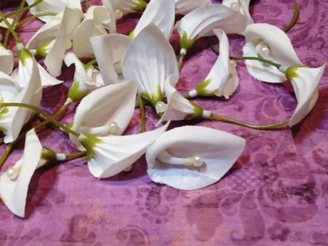 Competition intensifies for orchids and plastics, according to the Cabinet's announcement