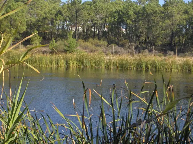 Fossil fuel lending under scrutiny by Nordic banks