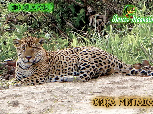 Kamchatka's Agriculture Ministry has pinpointed four regions for focused educational initiatives in...