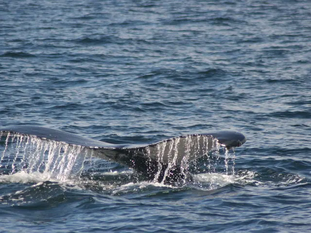 Ripple's (XRP) Key Indicator Triggers Alert of Potential Danger