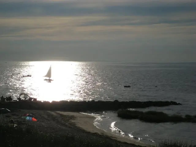 Investment firm APG pours €560 million into Octopus Australia's renewable energy infrastructure.