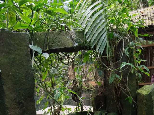 Landowners Pondering the Option of Renting Out Property for Shale Gas Extraction Projects