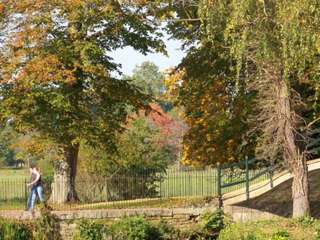 Nations seal $200 billion annual blueprint for biodiversity at COP16.2 gathering