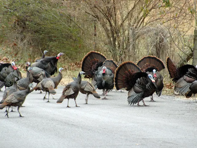 Consortium led by Societe Generale offers $1.80 billion in funding for groundbreaking...