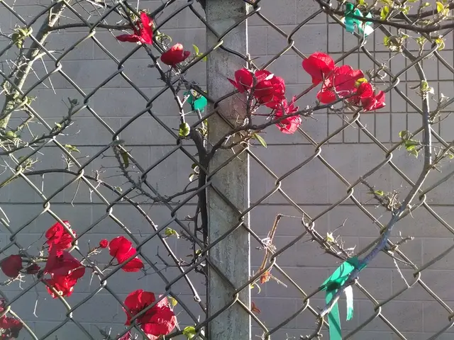 City needs to enhance financial administration