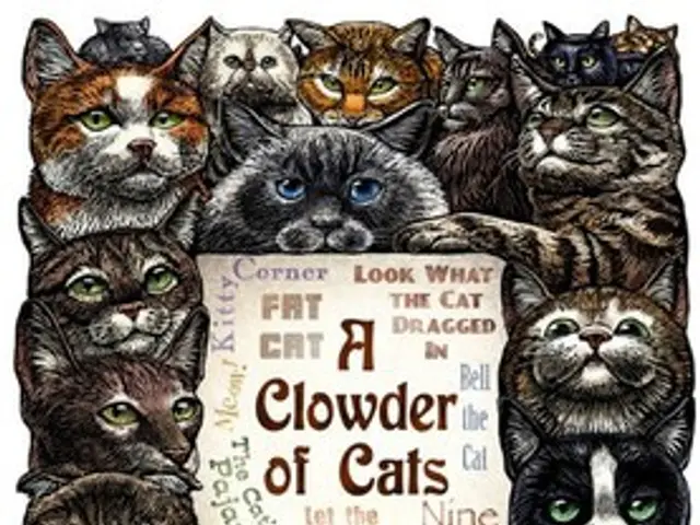 Invested $1,000 in Zoetis (ZTS) Stock a Decade Ago? Discover Your Current Worth Today!