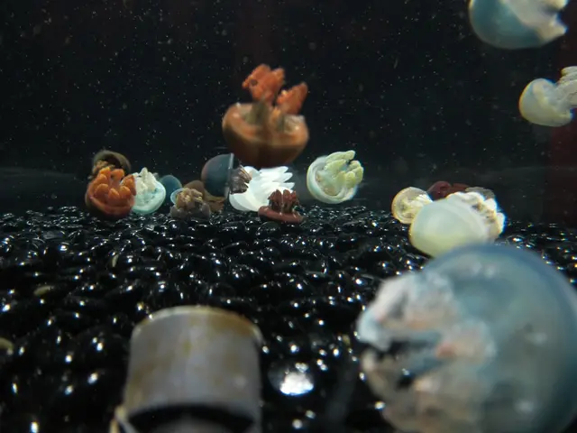 Nuclear power station Gravelines in France temporarily halted operations due to jellyfish blocking...