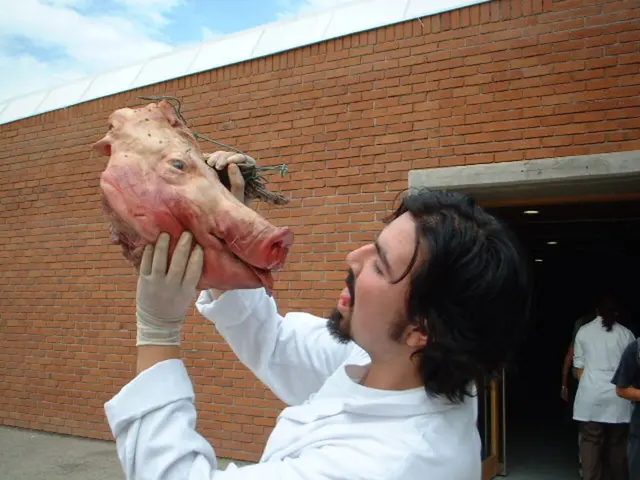 Restaurants Newk's, Beans & Brews, The Dead Rabbit, among others, take steps to strengthen...