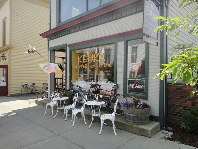 Utilizing Solar Energy: Delving into Sustainable Power Sources