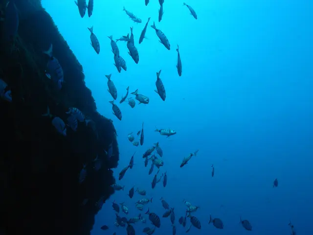 XRP's projected price indicates a potential $4.20, as the fifth wave of momentum shows signs of...