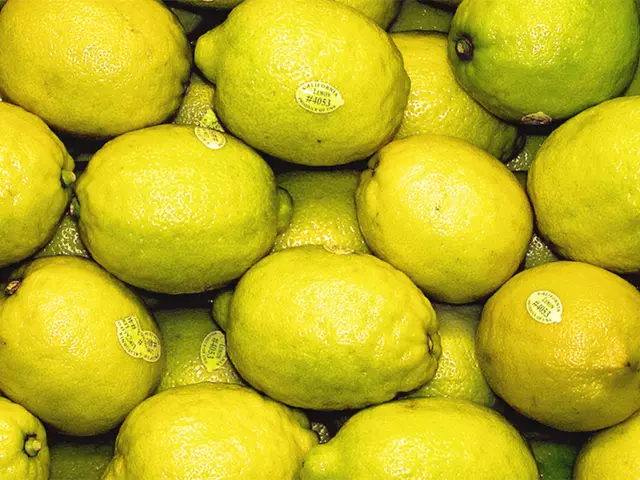 International unrest stirs focus on citrus sector, seeking guidance from the G20 group