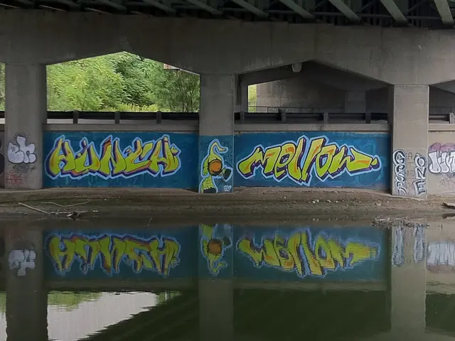 Mineral company Troy Minerals successfully finishes their oversubscribed life offering.