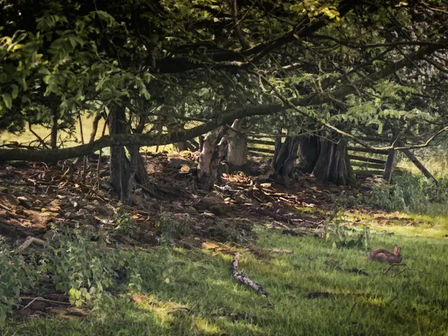 Rebranding Cigarettes: Assessing Tobacco's Impact on the Environment