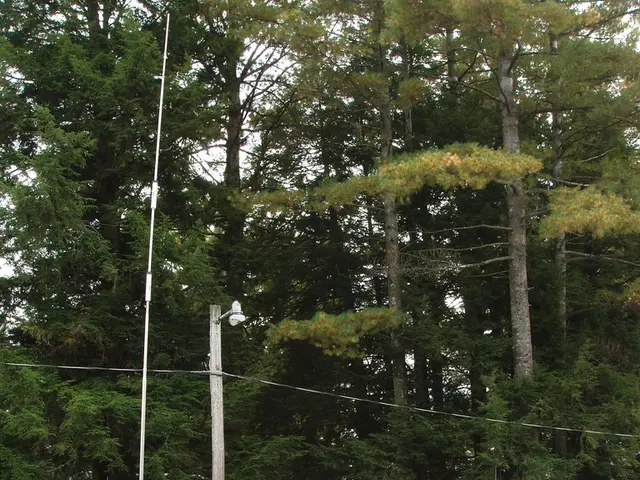 Protecting Your Wealth amid Autumn Budget Scenarios under a potential Labour government