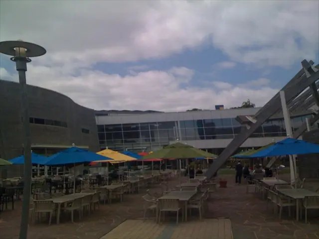 Is there a significant surge in TUI's stock price, following its earlier price decline, with a...