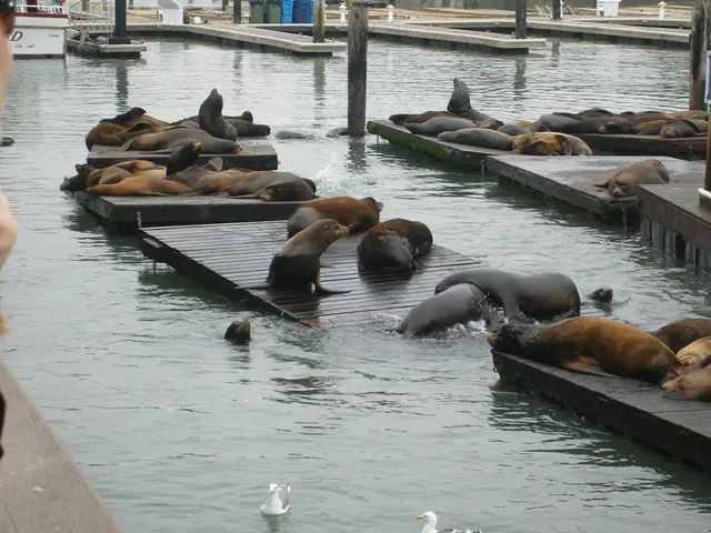 Machinery Efficiency Unveiled: Harnessing the Power of Technology for Improved Performance