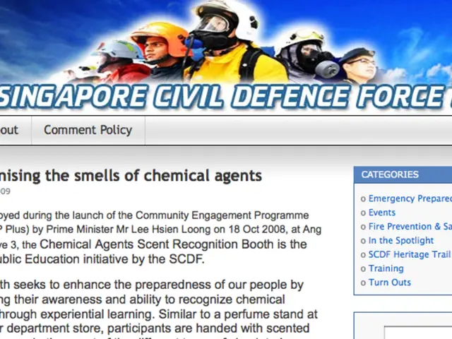 Utilizing Business Structures for Blog Sites: Strategies for Monetization and Success