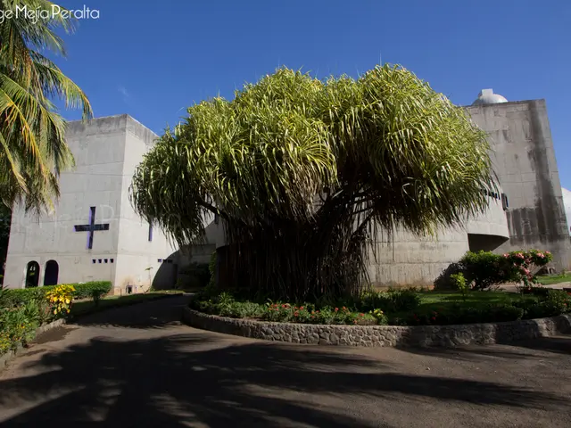 Officials of the city to deliberate over the acceptance of a Safe Streets for All grant offer