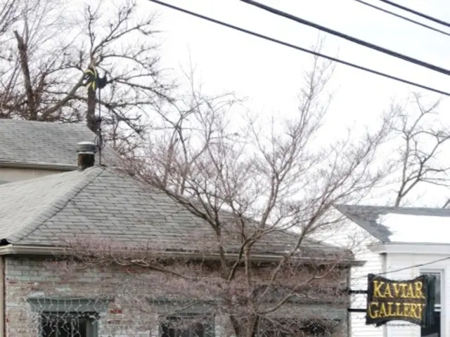 Energy-saving dwellings have been established in Cambridgeshire