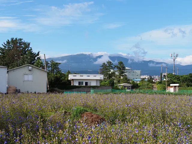 Geothermal energy experiences an enhancement