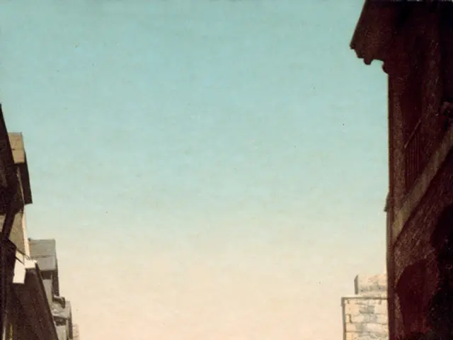 Tax revenues increased by EUR 7 million this year, primarily through cracking down on the informal...