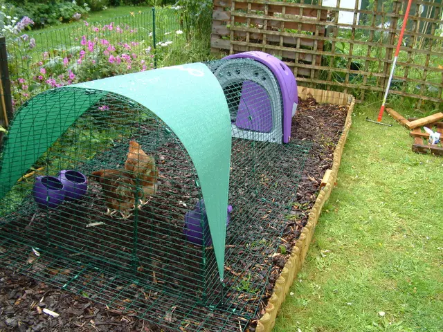 Yakut Poultry Factory Completes Second Phase of Rebuilding