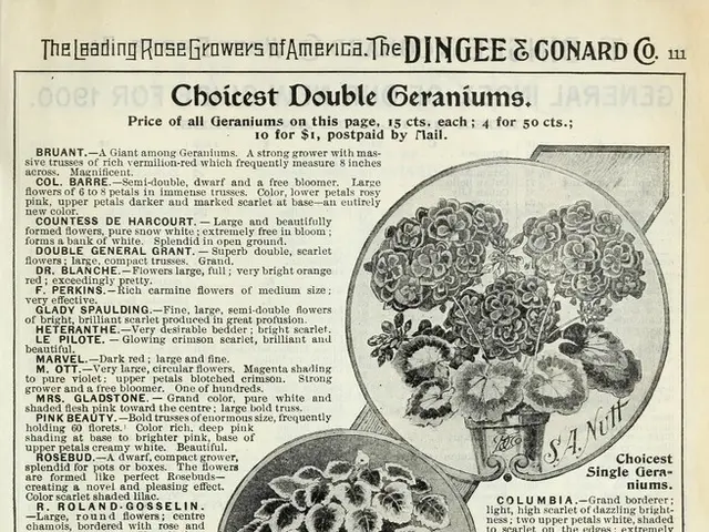 Strengthening trade relationships between Vietnam and Cambodia emphasized at agricultural exhibit...