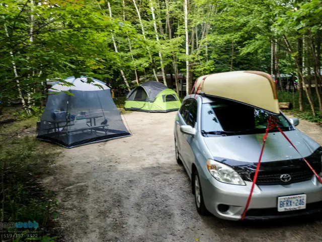 Debate Points for and Against Rental Property Values