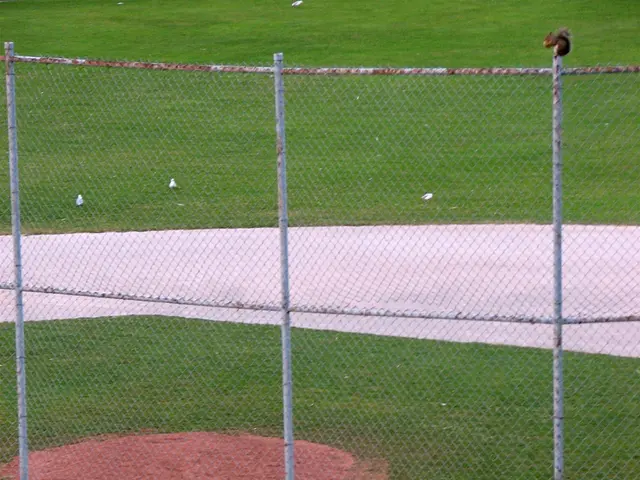 Law enforcement officials in Texas monitor the Rio Grande River, the U.S.-Mexico border, for...