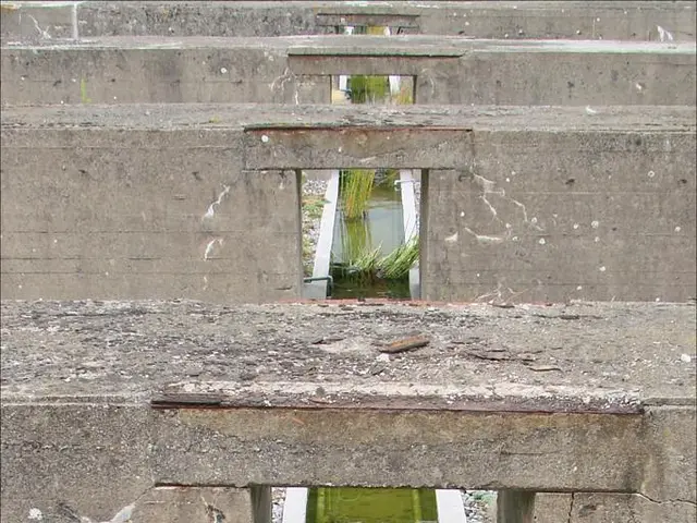 Unveiling Underground Finances: A Deep Dive into the World of Trust Mines