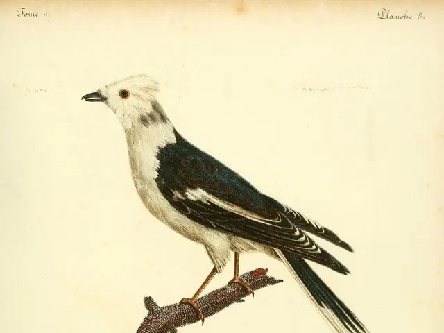 There is an image of a bird sitting on the branch of a tree on a paper and there is some quote...