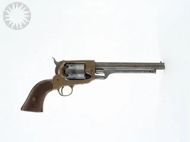 In this image we can see a gun. In the top left, we can see a logo. The background of the image is...