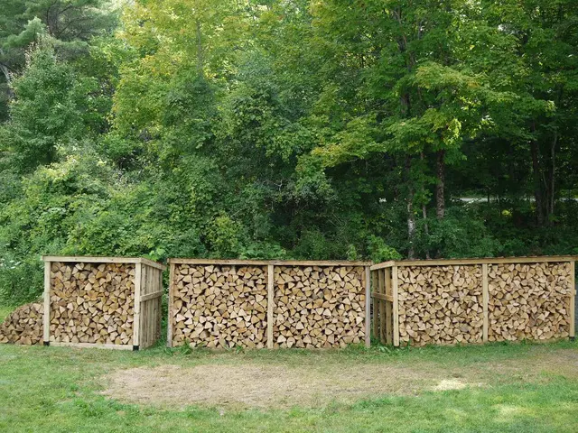 In the image we can see there are bundles of wooden logs kept in the box on the ground. The ground...