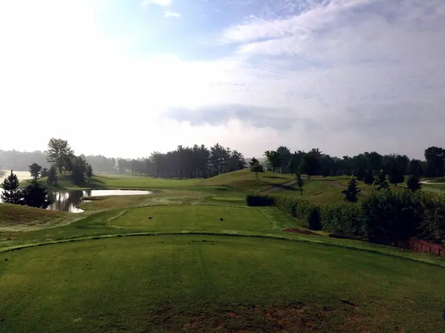 There are is greenery and water in the foreground and the sky at the top side.