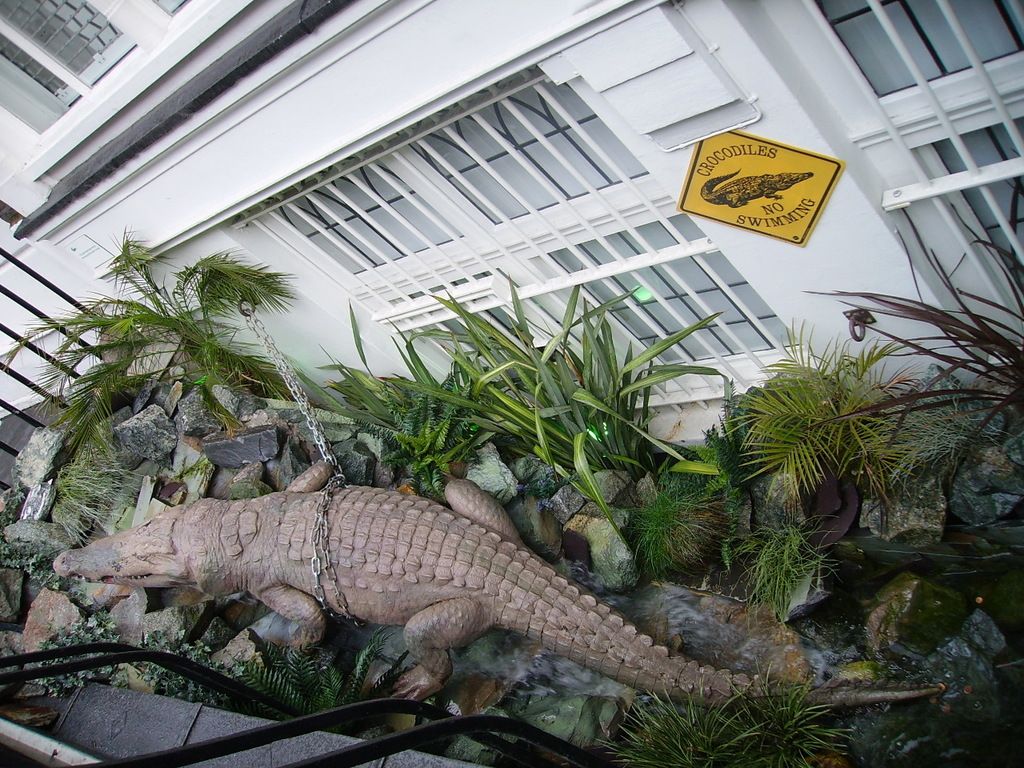 Disastrous Actions by Rome Reap Significant Negative Consequences